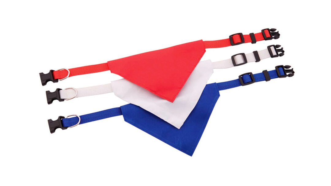 collare-bandana-roco-9.jpg