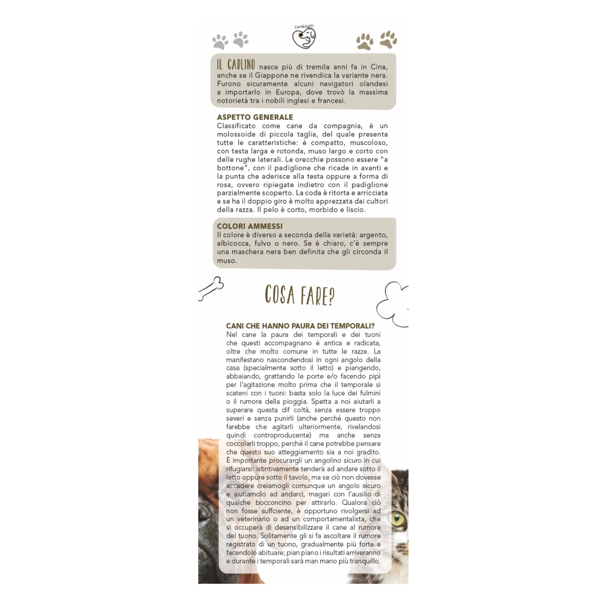 b071-calendario-cani-e-gatti-10.webp