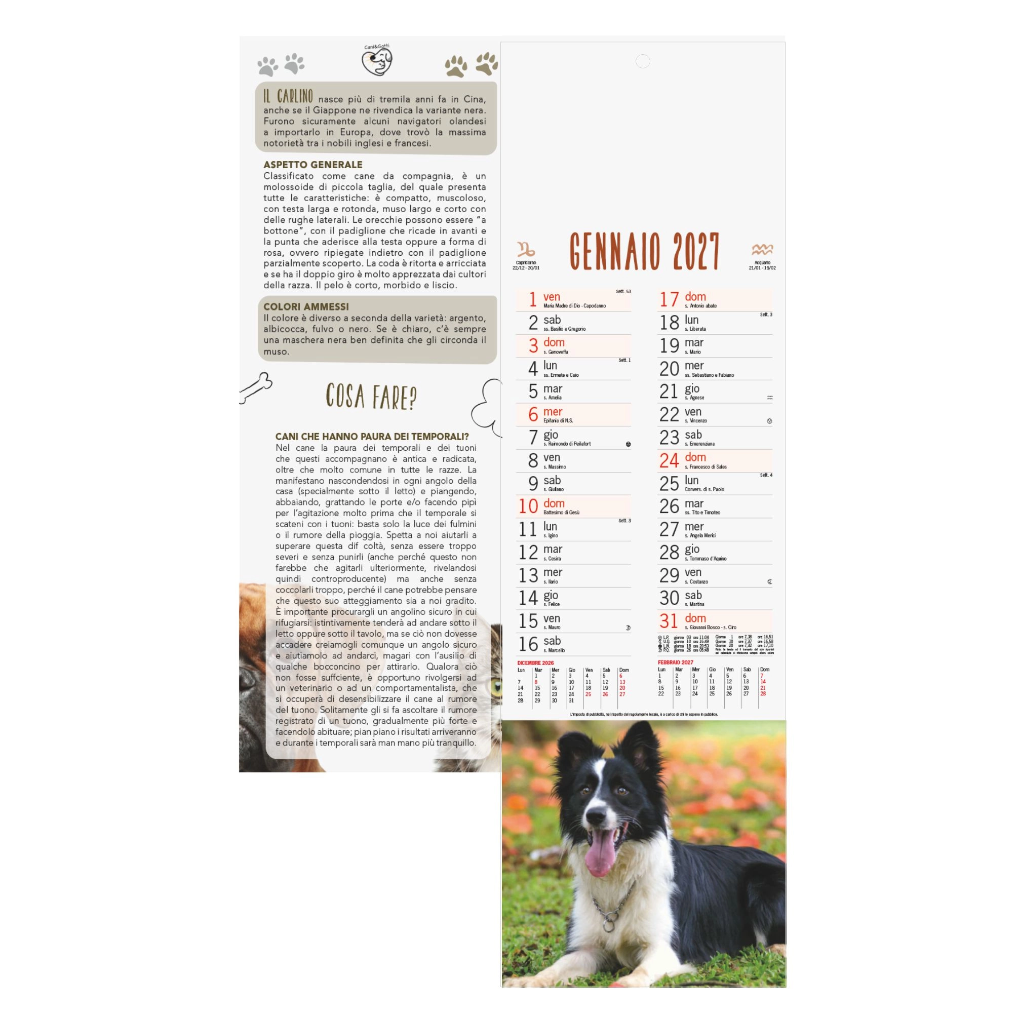 b071-calendario-cani-e-gatti-8.webp