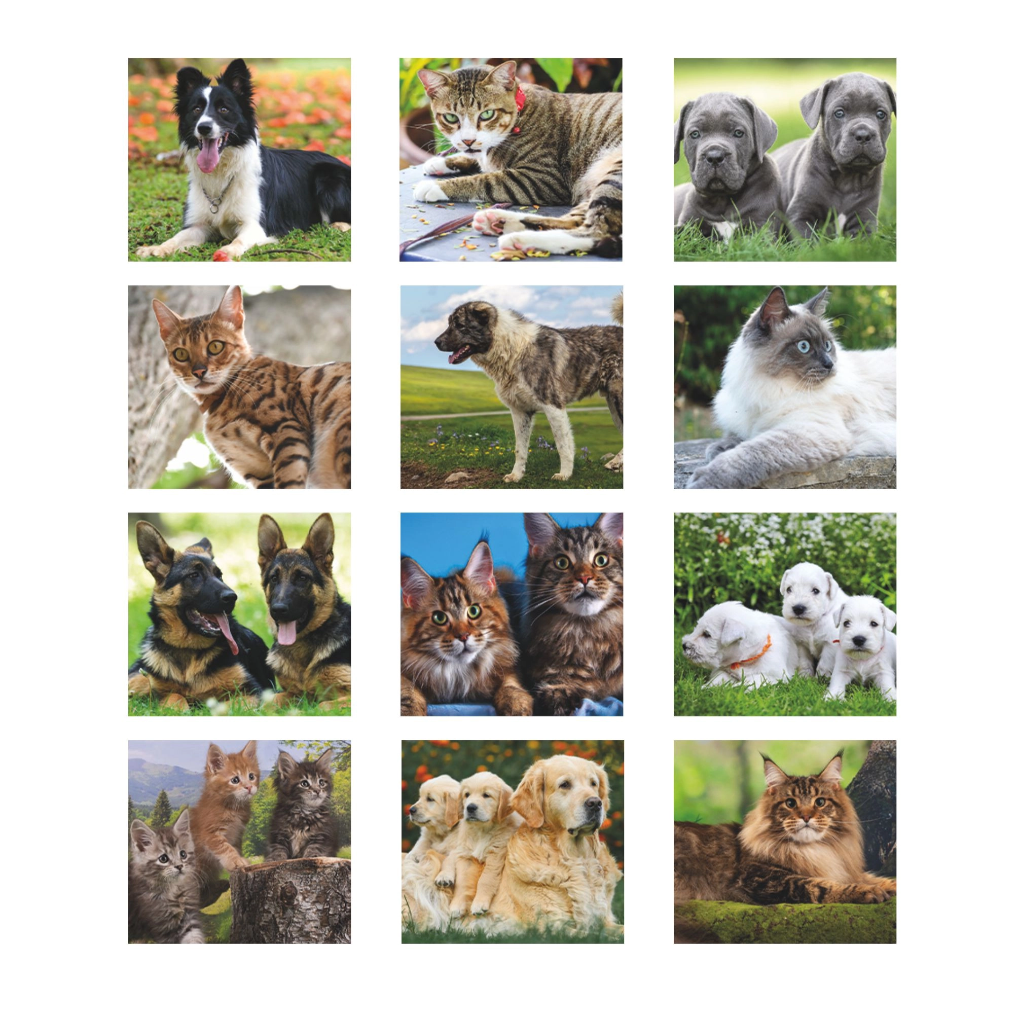 b071-calendario-cani-e-gatti-9.webp