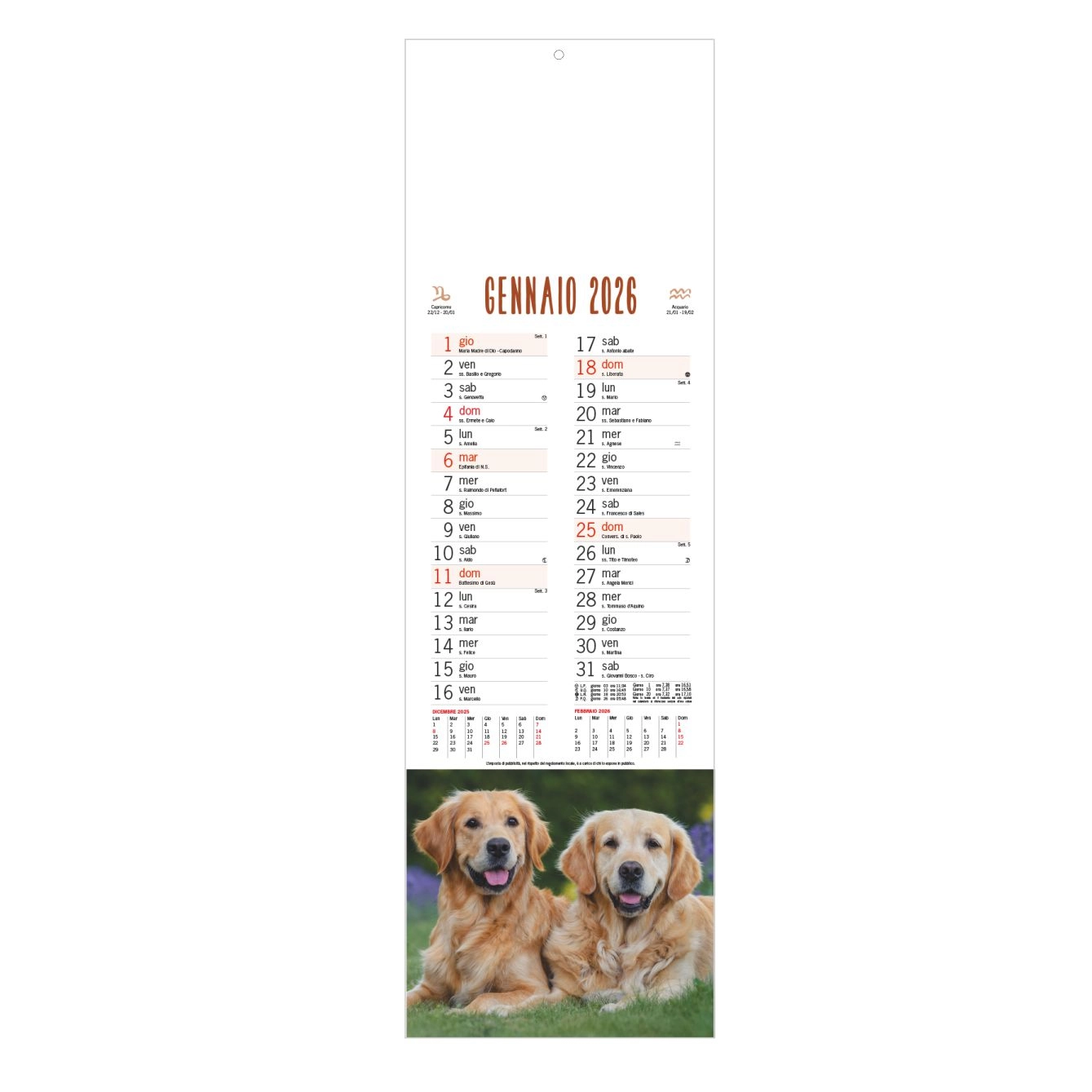 b071-calendario-cani-e-gatti-unico-3.webp