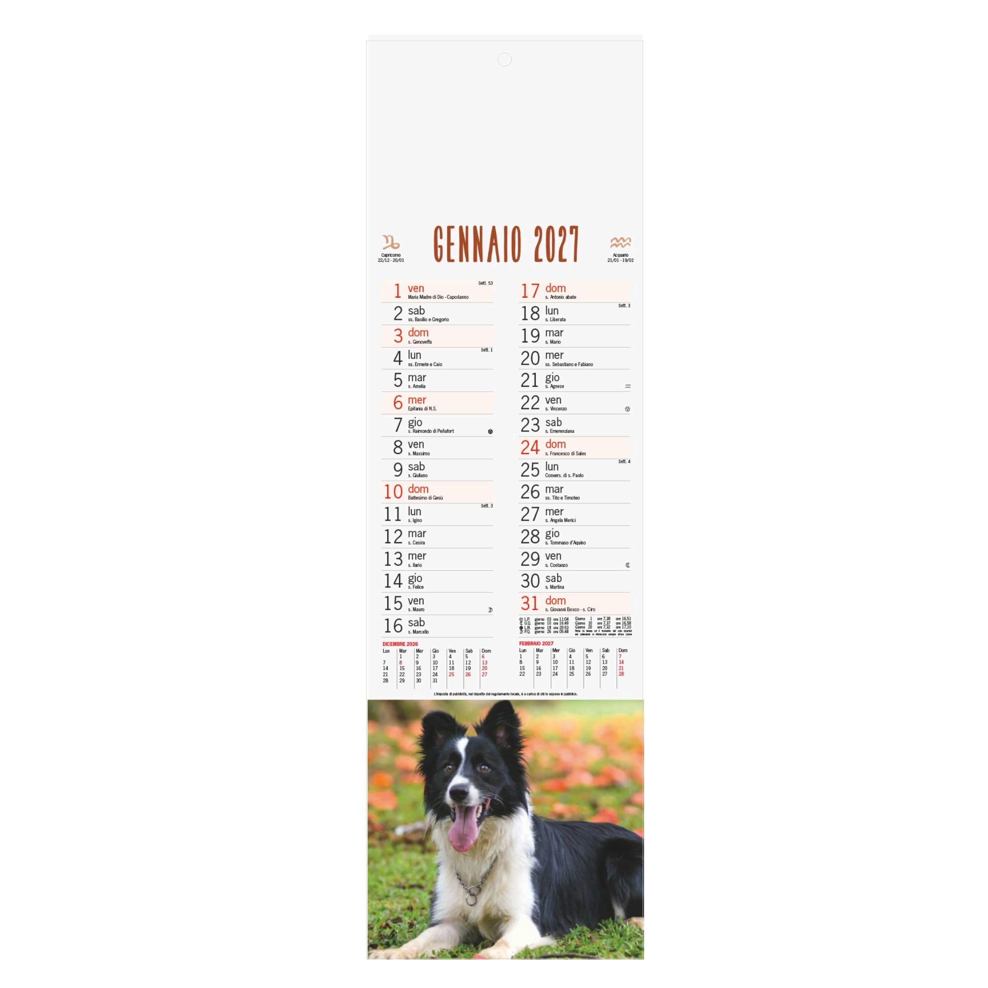 b071-calendario-cani-e-gatti-unico-7.webp