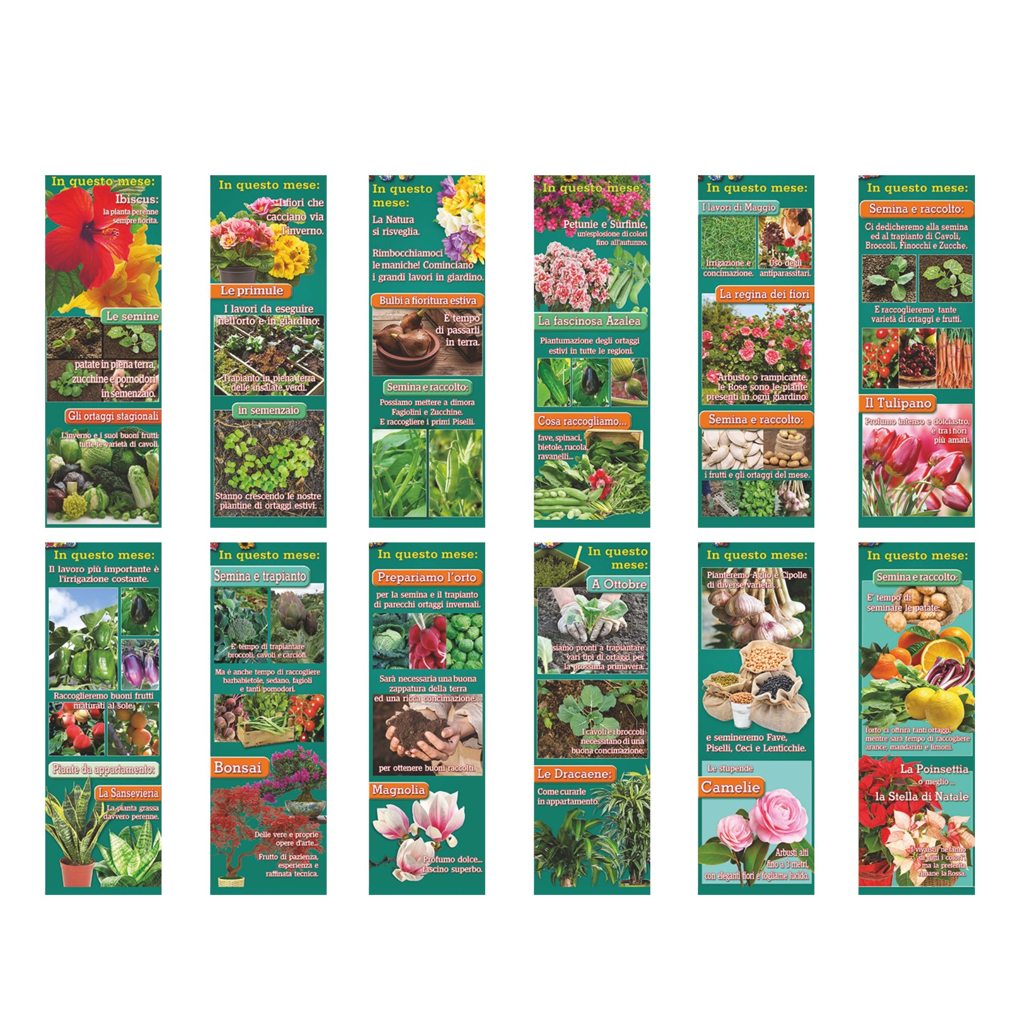 b086-calendario-orto-e-giardino-5.webp