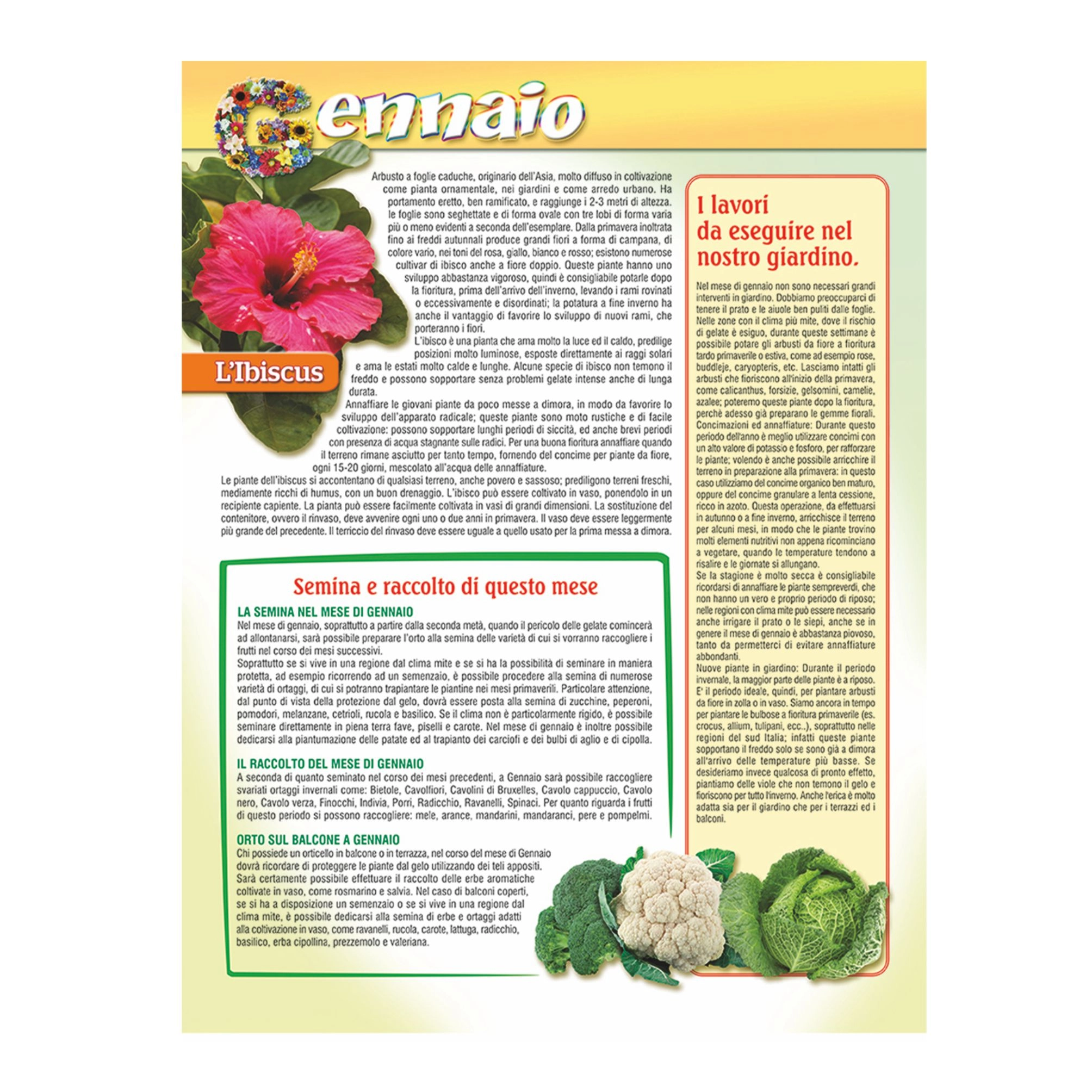 b086-calendario-orto-e-giardino-6.webp