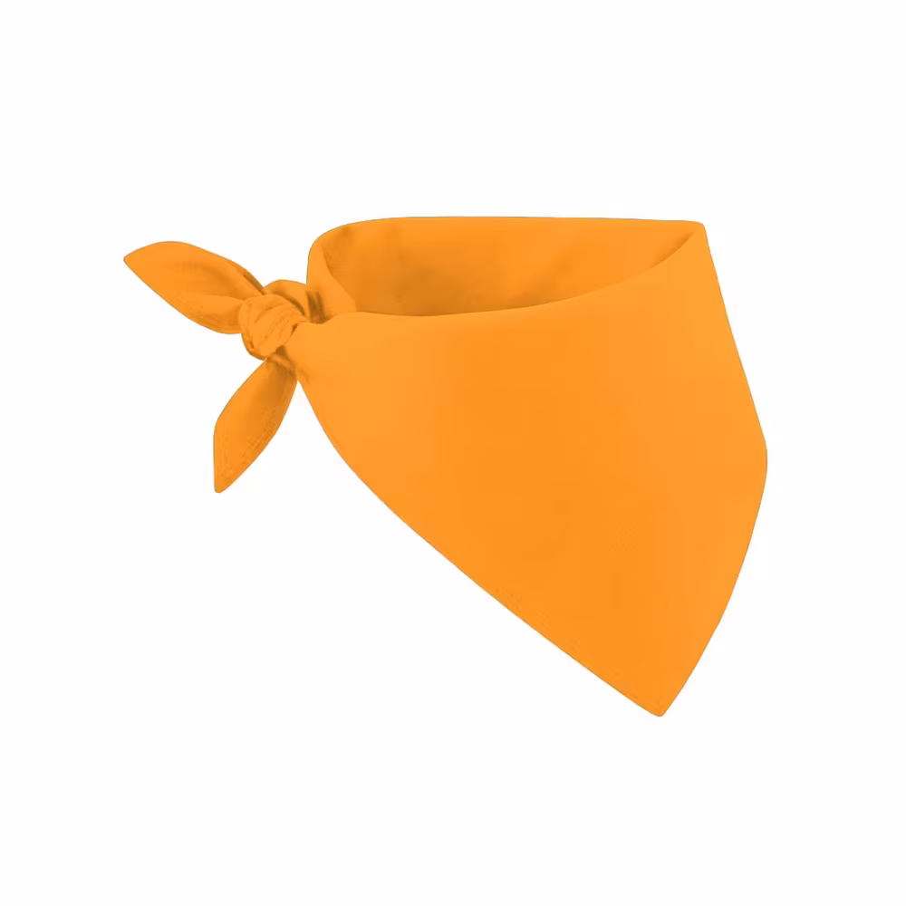 2_foulard-bandana-100-cotone.avif