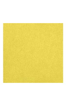 tovaglie-monouso-individuale-hostex-giallo-limone.jpg