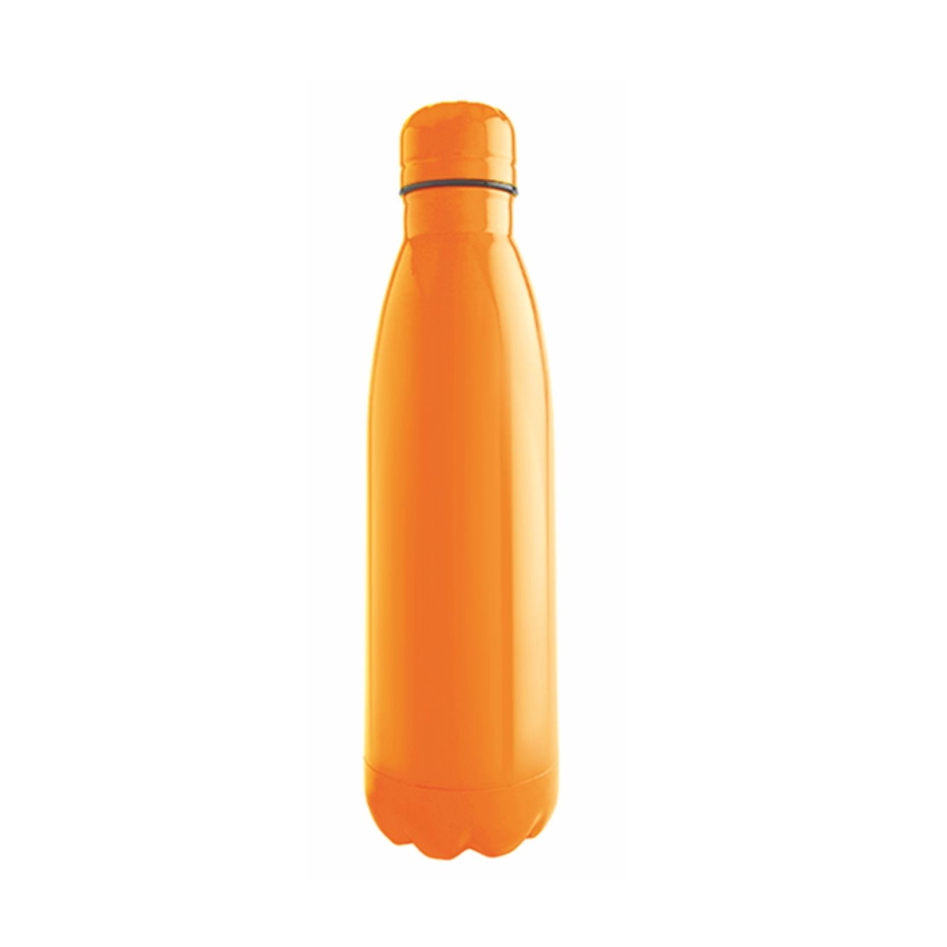 borraccia-termica-8436-frosty-arancio-1.webp