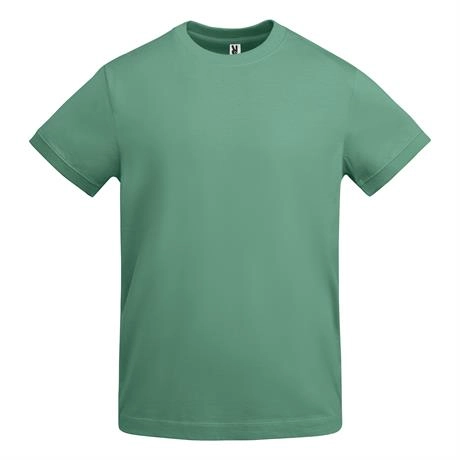 r6562-roly-veza-t-shirt-uomo-menta-scuro-5.webp