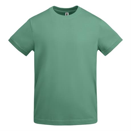 r6562-roly-veza-t-shirt-uomo-menta-scuro.jpg