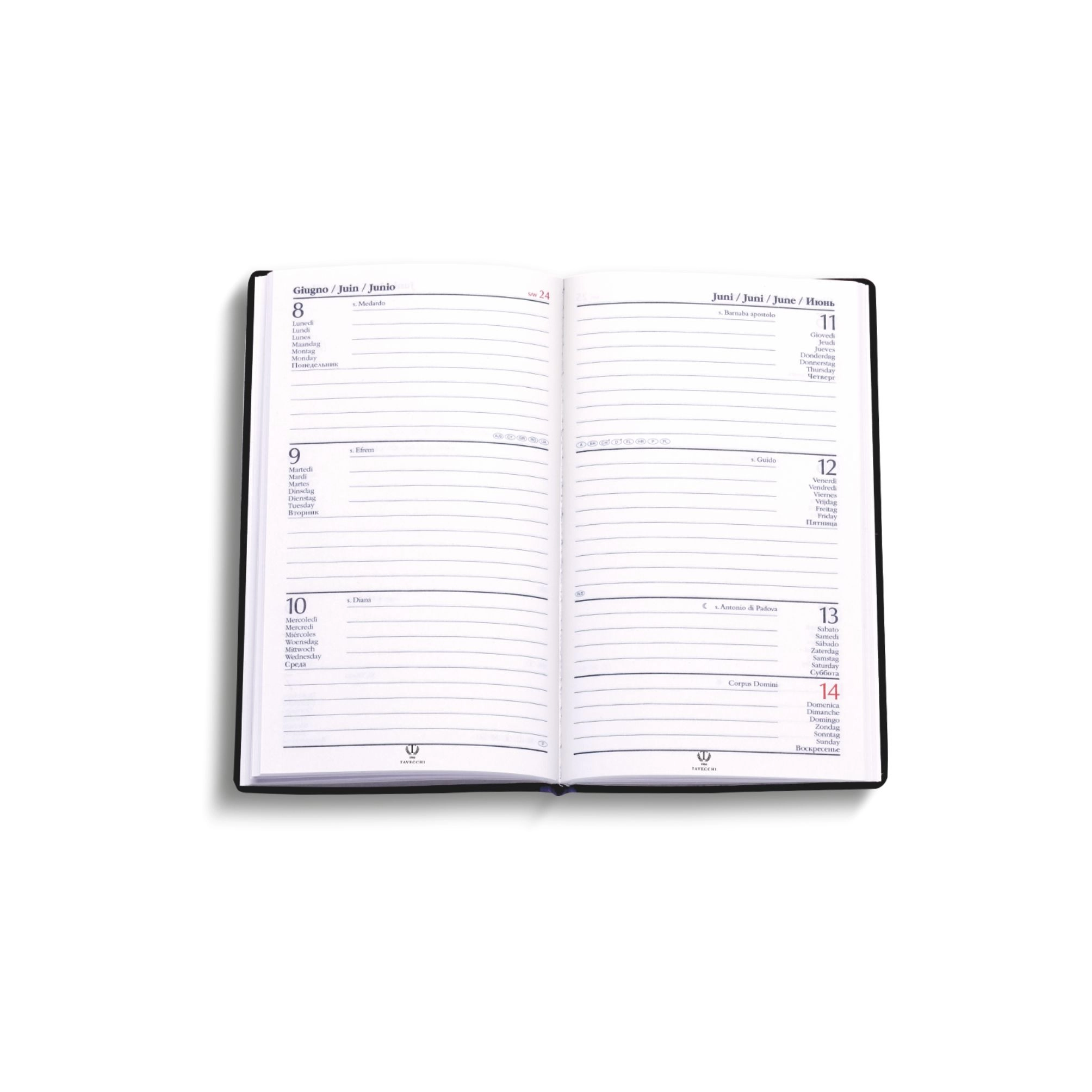 agenda-settimanale-8x14-tavecchi-0165--35.webp