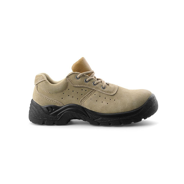 scarpa-bassa-zeus-scamosciata-scam-beige.jpg