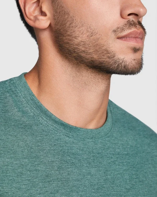 16_r6660-roly-fox-t-shirt-uomo.webp