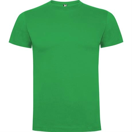 r6502-roly-dogo-premium-t-shirt-uomo-verde-irish-31.webp