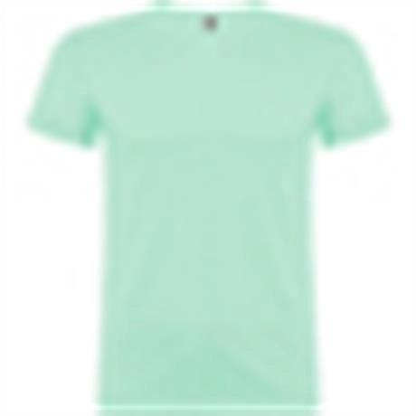 r6554-roly-beagle-t-shirt-uomo-verde-menta-22.webp