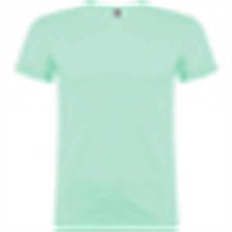 r6554-roly-beagle-t-shirt-uomo-verde-menta.jpg