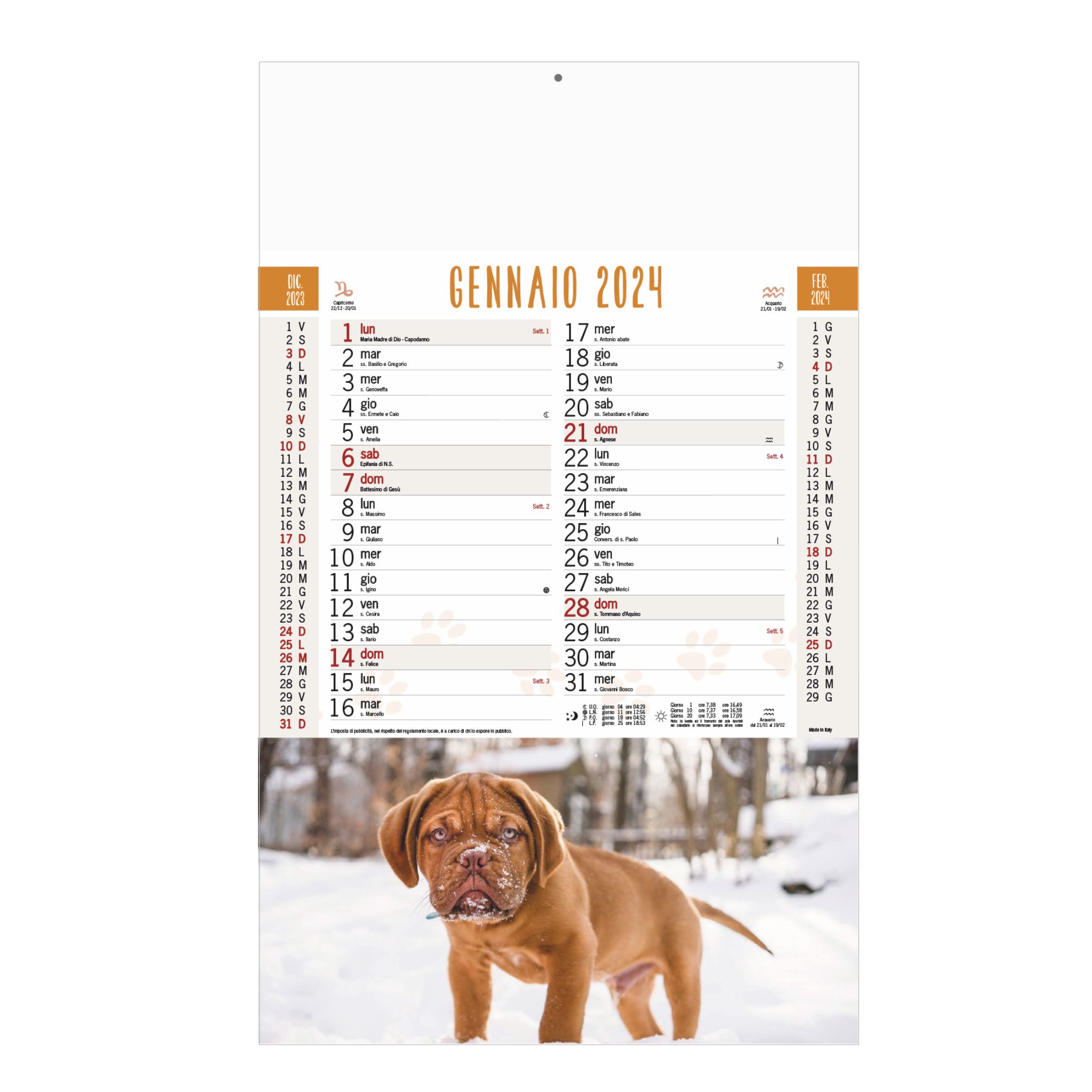 b-77-calendario-cani-e-gatti-nc.jpg