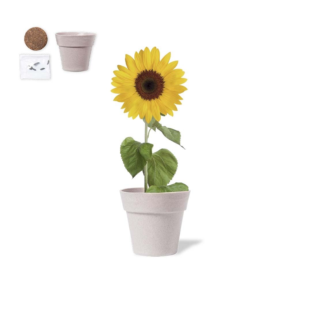 vaso-tumil-1.jpg