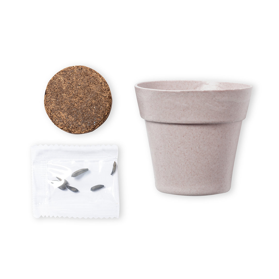 vaso-tumil-3.jpg