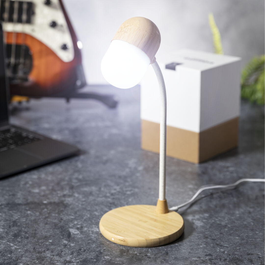 lampada-multifunzione-lars-22.jpg