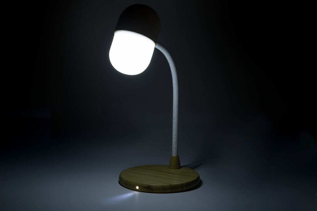 lampada-multifunzione-lars-34.jpg