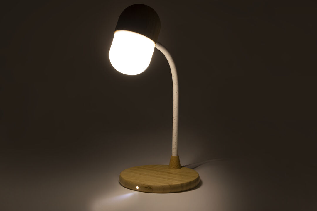 lampada-multifunzione-lars-35.jpg