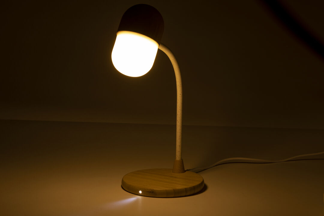 lampada-multifunzione-lars-36.jpg