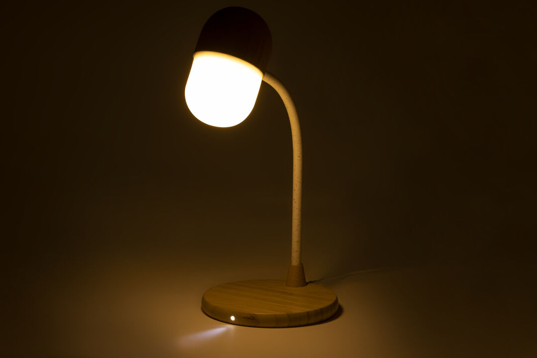 lampada-multifunzione-lars-37.jpg