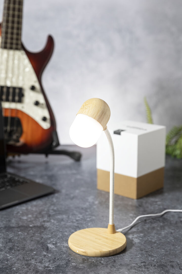 lampada-multifunzione-lars-44.jpg