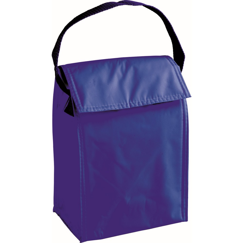 2943-freezy-borsa-termica-pvc-6lt-blu.jpg