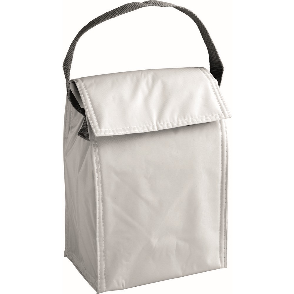 2943-freezy-borsa-termica-pvc-6lt-grigio.jpg