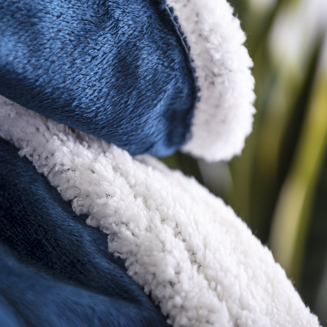 coperta-lerten-3.jpg