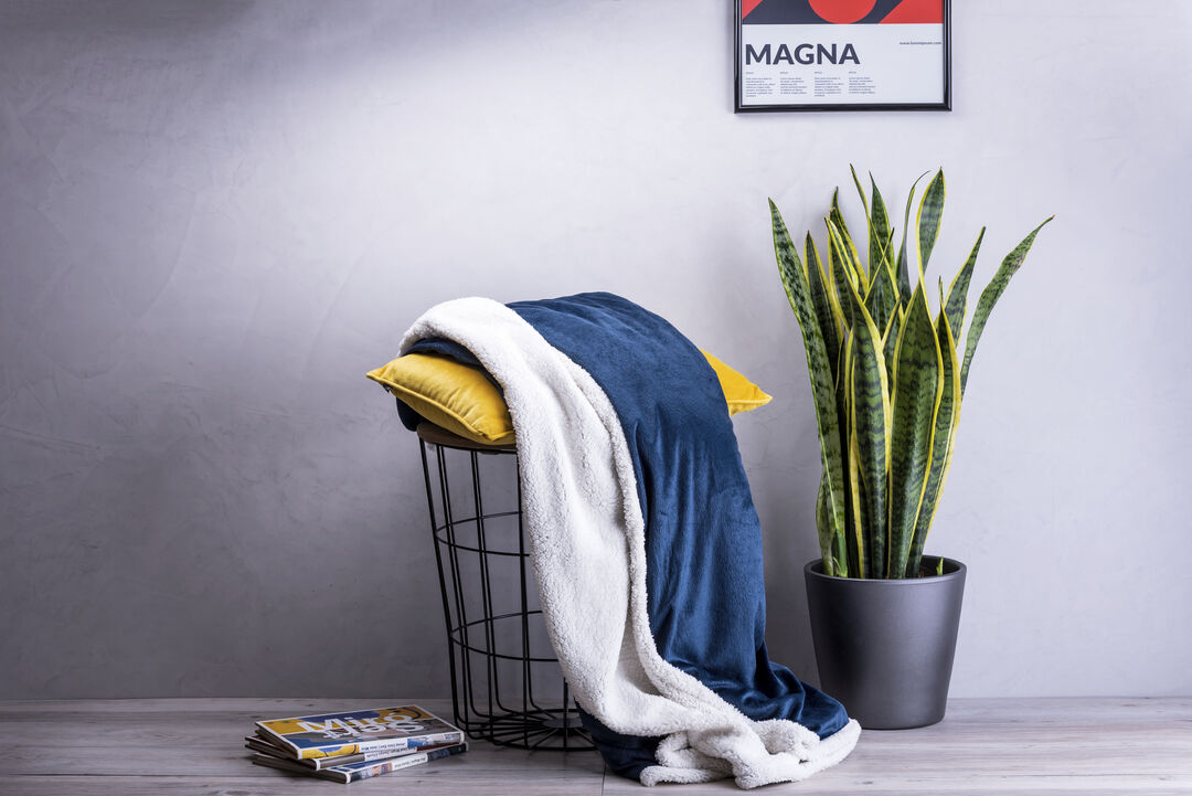coperta-lerten-5.jpg