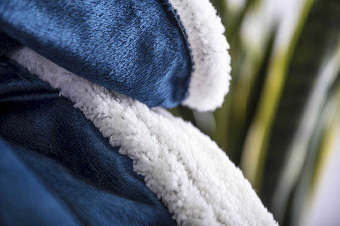 coperta-lerten-9.jpg