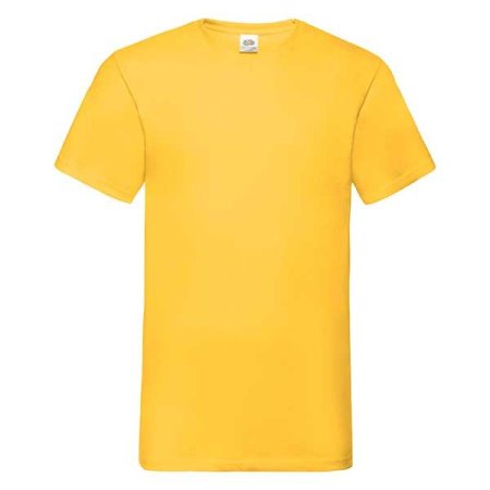 9_valueweight-v-neck-t-shirt.jpg