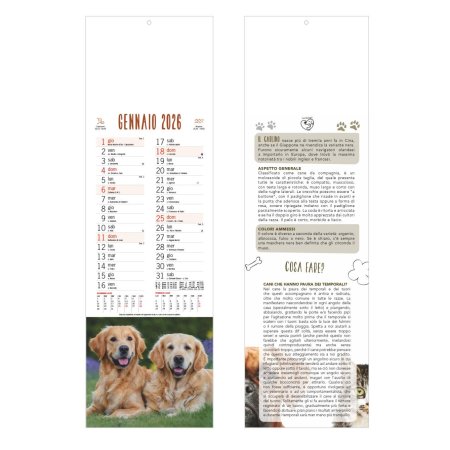 B071 - CALENDARIO  CANI E GATTI