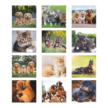 5_b071-calendario-cani-e-gatti.jpg