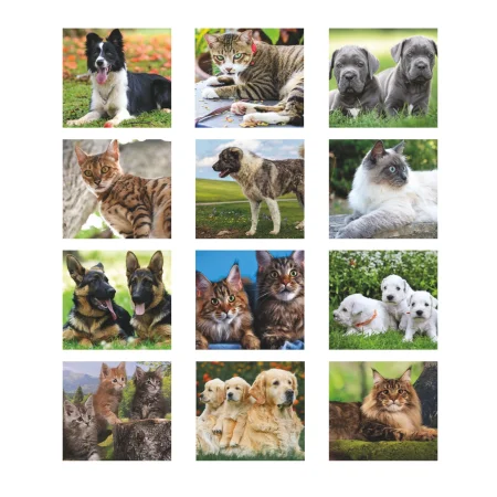 b071-calendario-cani-e-gatti-9.webp