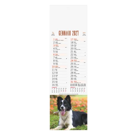 b071-calendario-cani-e-gatti-unico-7.webp