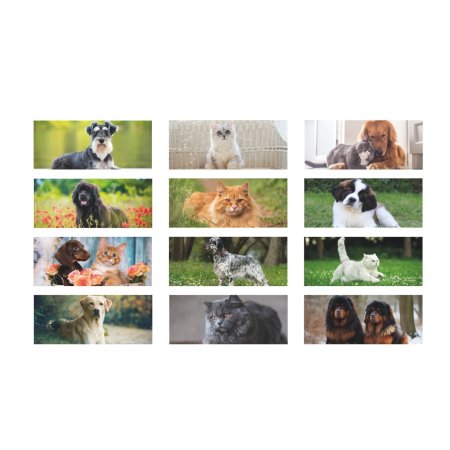 3_h012-calendario-da-tavolo-cani-e-gatti.jpg