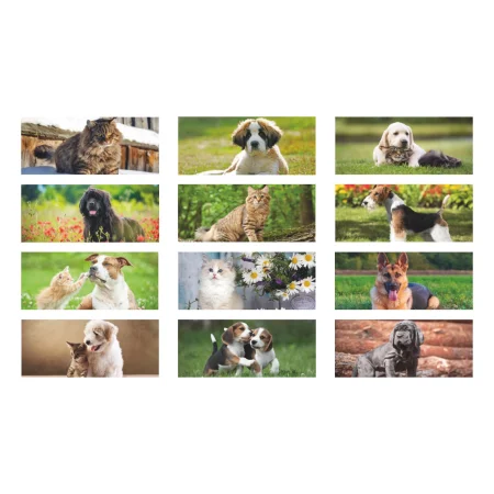 h012-calendario-da-tavolo-cani-e-gatti-9.webp