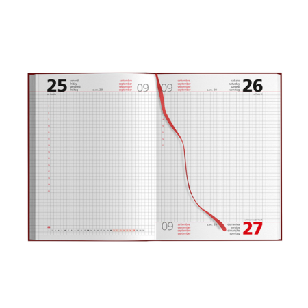 3_quadrettata-agenda-personalizzabile-giornaliera.png