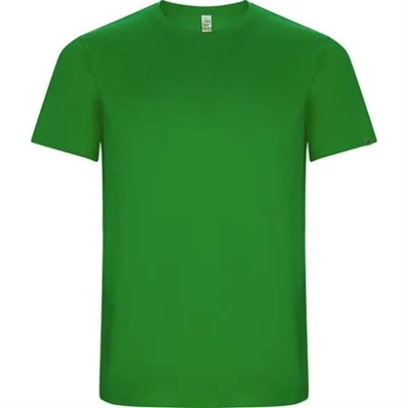 r0427-roly-imola-t-shirt-tecnica-verde-felce-27.webp