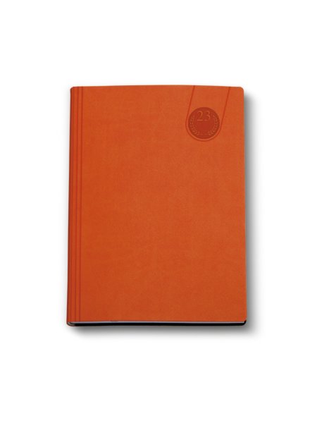 0159-agenda-giornaliera-17x24-tavecchi-arancio.jpg