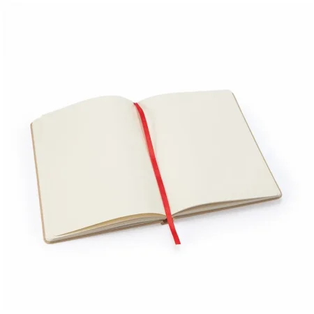 13_2093-righi-blocco-note-formato-a5-con-copertina-rigida-in-cartone-riciclato.webp