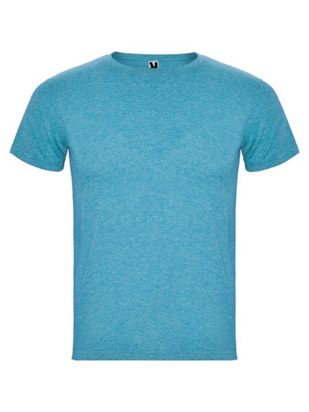 r6660-roly-fox-t-shirt-uomo-turchese-vigore.jpg