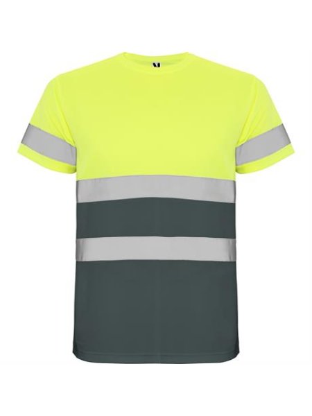 r9310-roly-delta-t-shirt-uomo-alta-visibilita-piombo-giallo-fluo.jpg
