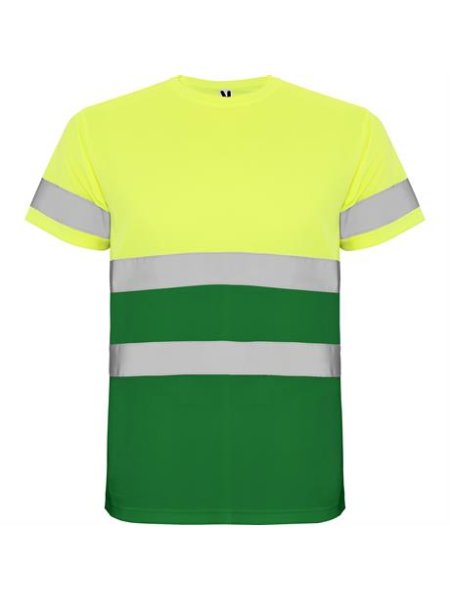 r9310-roly-delta-t-shirt-uomo-alta-visibilita-verde-giardino-giallo-fluo.jpg