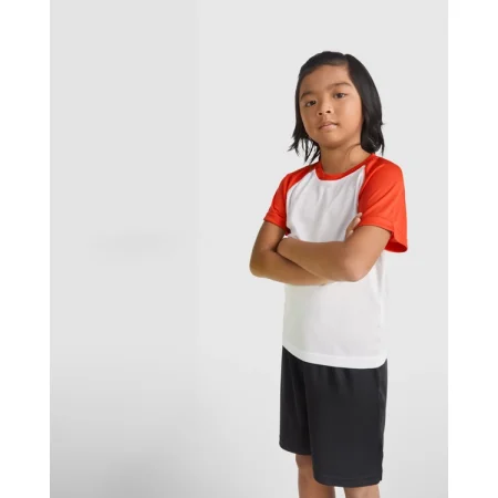 r6650-roly-indianapolis-t-shirt-uomo-21.webp