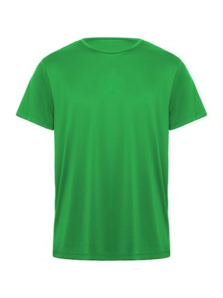 r0420-roly-daytona-t-shirt-unisex-verde-felce.jpg
