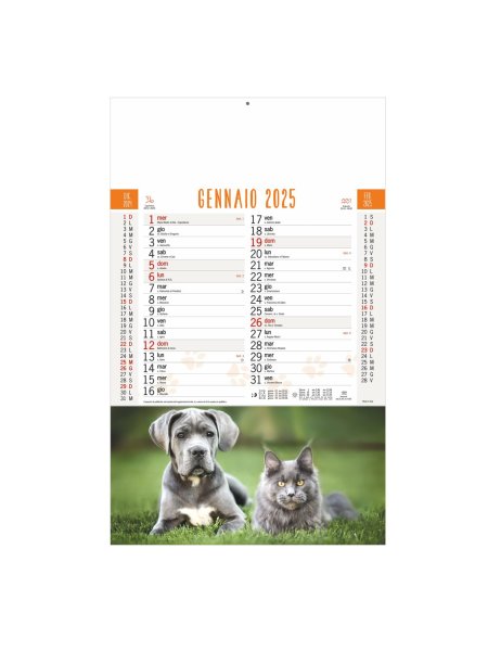 b-77-calendario-cani-e-gatti-b077-s00.jpg